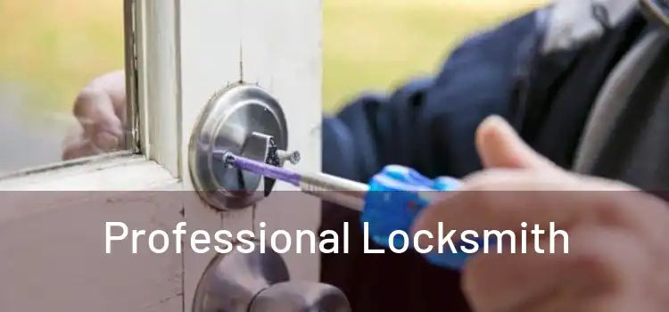  Professional Locksmith 